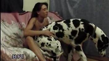 Dog dick gets licked by a skinny redhead chick