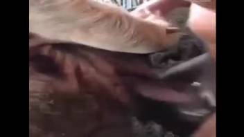 Guy ravages stuffed creature savagely until completely drained
