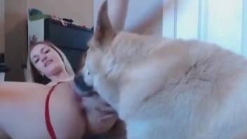 Loud orgasms when the dog licks her pussy and ass