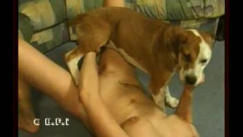 Slender wife penetrates dog with its long red member
