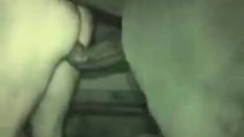 Late-night savage pounding by a well-endowed stallion