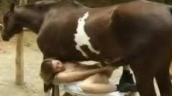 Two hot women getting fucked by the same stallion