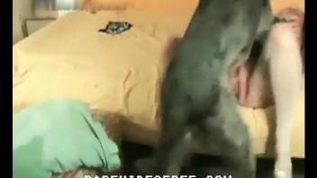 lick