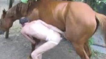 Pale-skinned guy takes a horse's huge cock here