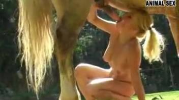 Blonde babe experiences the full horse cock deep inside her moist pussy