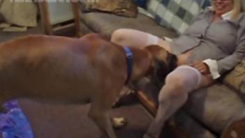 Horny older lady getting banged by a dog in a hot vid