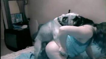 Pantyhose-wearing hottie gets drilled by her own dog