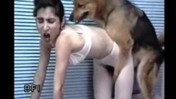 Fair-skinned dark-haired woman blowing this canine's thick and juicy rod