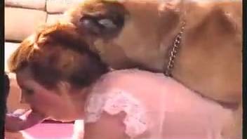 Mature woman with animal fetish has sex with two dogs in the doggy style position